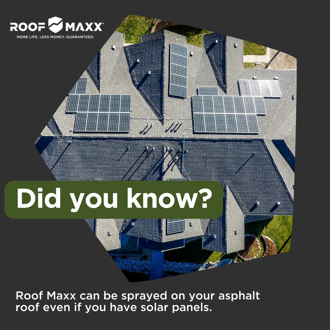 Joel Davis - ROOF MAXX